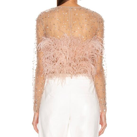 RÊVE RICHE Jasmina Feather Embellished Dusty Rose Sheer Long Sleeve Top Size 42 - Picture 7 of 11